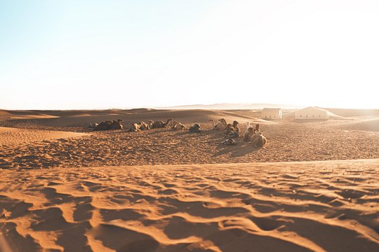 Tour image 7