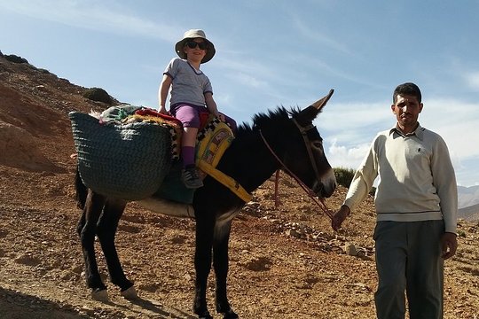 Tour image 10