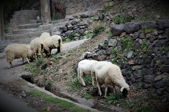 Tour image 14