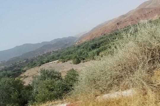 Tour image 8