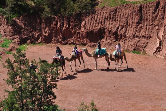 Tour image 4